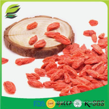 Gesunde Snack sundried Wolfberry Samen Goji